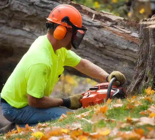 tree services Symsonia